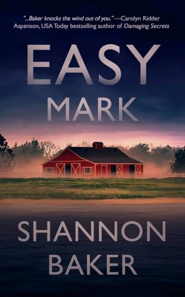 Kate Fox Mysteries | Shannon Baker