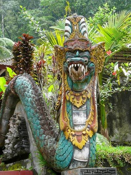 Indonesian Naga, Indonesia