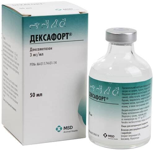 Při alergiích pomůže Dexafort pro kočky.