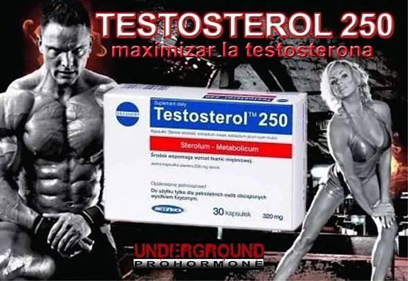 Testosterol 250 30 caps - Megabol