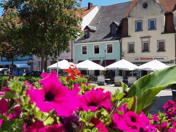 Eisdiele Tirschenreuth Gelateria Blumen