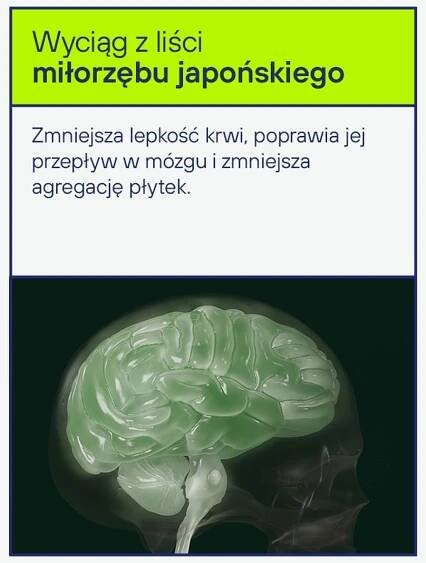 » BIOFARM EN 