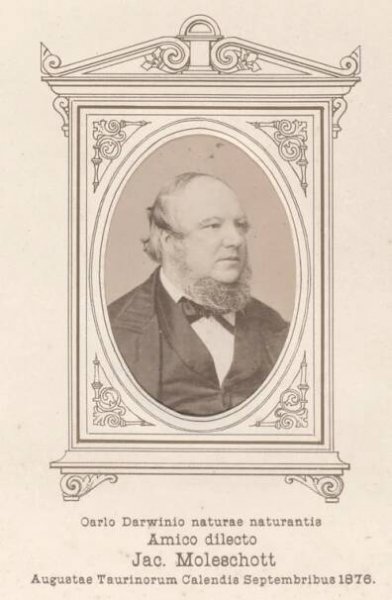 Jacob Moleschott - Wikipedia