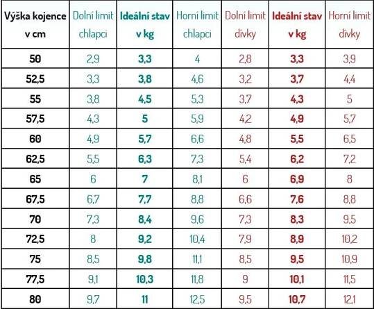 Míry 21m dítěte - Modrý koník
