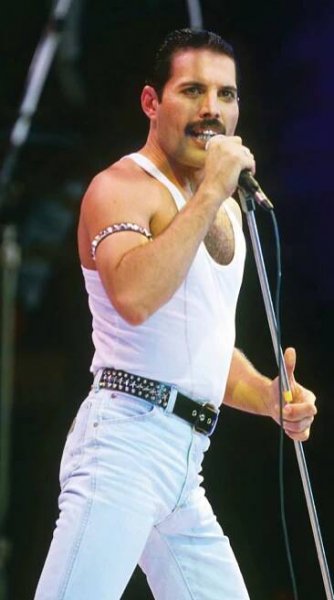 Freddie Mercury Slightly Mad