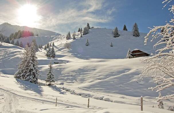 Winter walking in Diemtigtal - Excursions by train