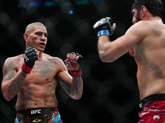 UFC | Nejslavnější MMA organizace
