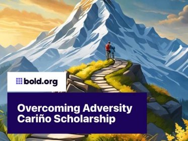 Cover image for Overcoming Adversity Cariño Scholarship