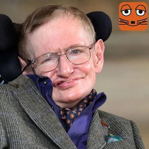 Stephen Hawking: Physik-Genie