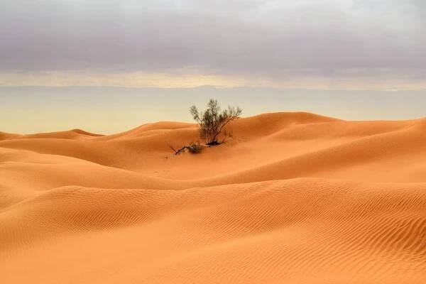 Per la seconda volta in fuoristrada nel Sahara Tunisia duna bella deserto