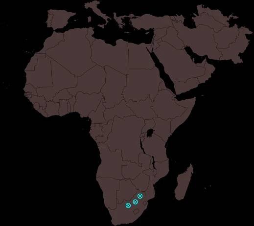 Australopithecus sediba – Wikipedie