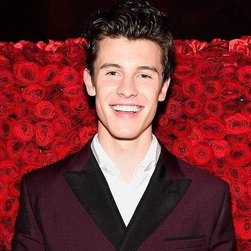 Shawn Mendes' Reactions to Fans Covering His Songs Are Just So Pure