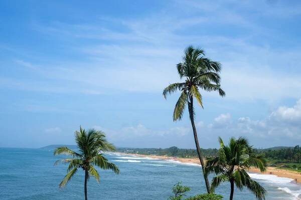 In Goa, a Thriving Food and Cocktail Scene Is Catering to a New Wave of Transplants