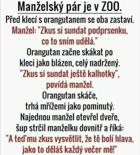 Vtipy - Stránka 581 - Zábava, videa, flashe, srandičky, legrácky,.. - Peugeot Club Amis de Lion