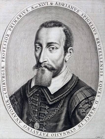 Adriaan van de Spiegel