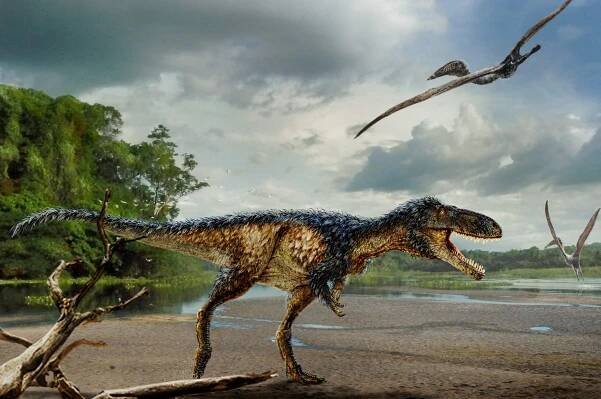 A small, but surprisingly smart tyrannosaur has been uncovered