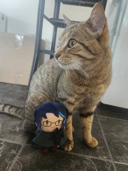 @cpatchii on Tumblr