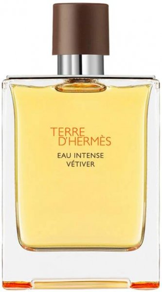 Hermes Terre D'Hermes Eau Intense Vetiver EDP 100 ml TESTER – Parfem4u
