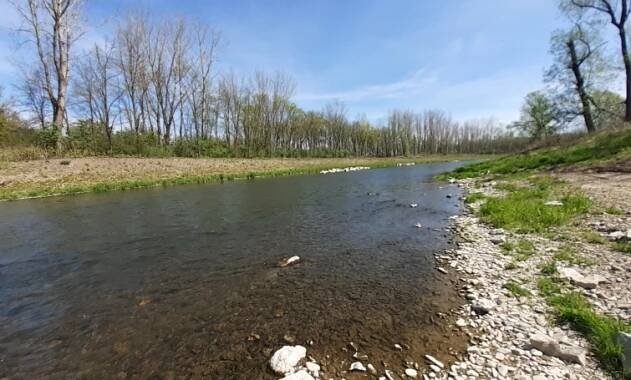 Povodí Moravy: Průtoky se pohybují v rozmezí 20 až 130 % normálu - Naše voda