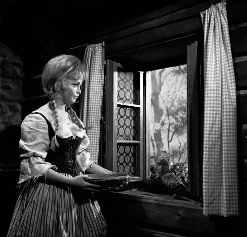 Popelka (1969)