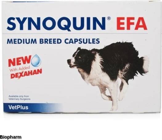 Synoquin medium 120 tbl