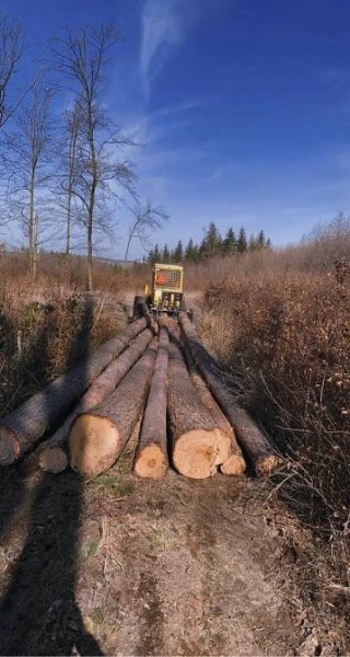 Vizovická lesní s.r.o. - lesnictví Zlín