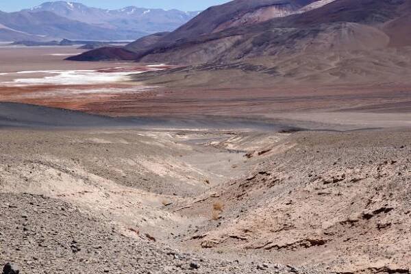 Bezplatný obrázek: Krajina pouště Salar de Antofalla v Argentině s horami v pozadí