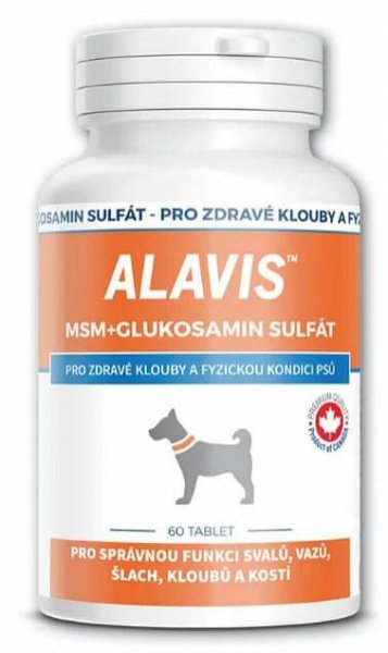 Alavis MSM + Glukosamin sulfát 60 tablet