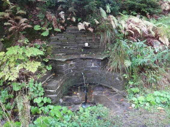 Horní Lomná - studánka na Lačnově