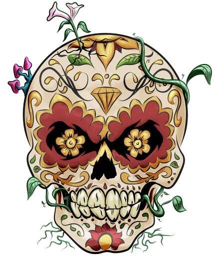 skull_gallery - Portfolio