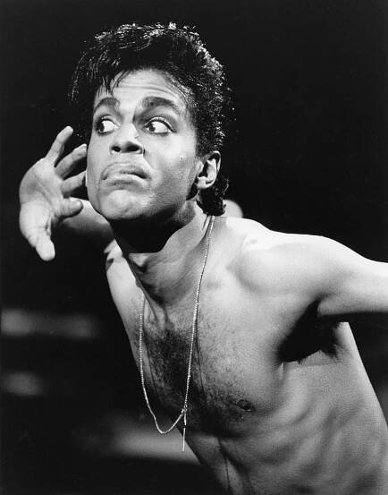 Prince_110008934_13881035_8
