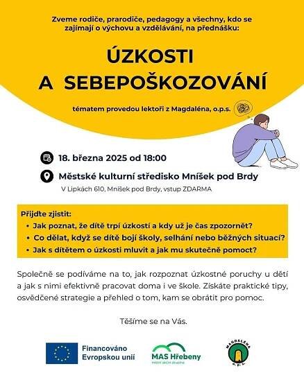 Úzkosti a sebepoškozování - přednáška Magdaléna, o. p. s.