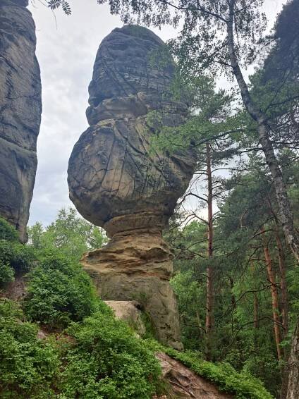 Horalka Anička - výlet kolem Malé Skály na Kozákov - Vrcholovka.cz