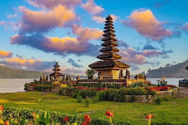 Safari výlet na Bali