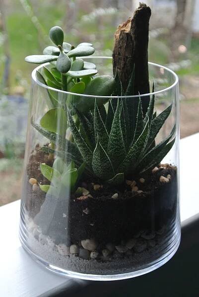 a glass vase filled with plants sitting on top of a window sill