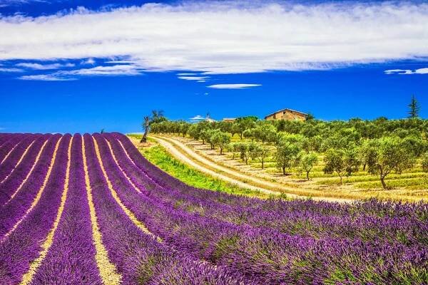 4 Days in Aix en Provence May 2018 - Cycling To Serve