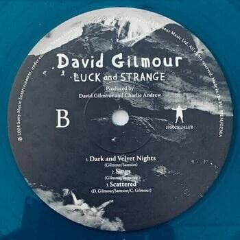 LP desky: David Gilmour - Luck and Strange (Translucent Sea Blue Coloured) (LP) - 6