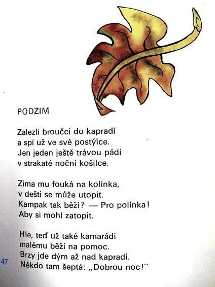 an image of a poem written in the language of autumn with leaves painted on it
