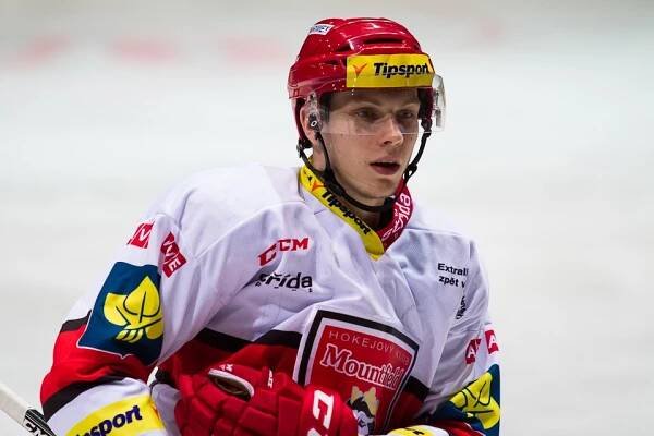 Mountfield HK, a.s. | Fotogalerie | Hráč | Tomáš Rousek