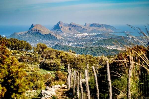UTMB Live - MALLORCA by UTMB 2024 2024