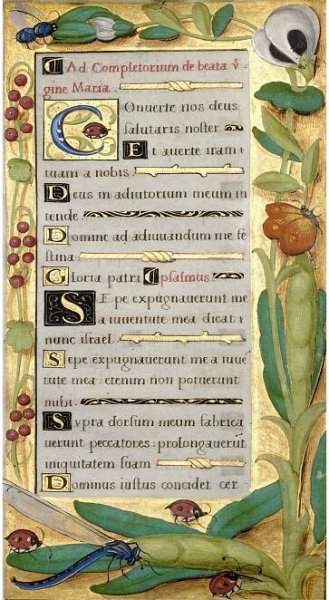Image of gold illuminated manuscript with flowers and insects surrounding a grey box of Latin script