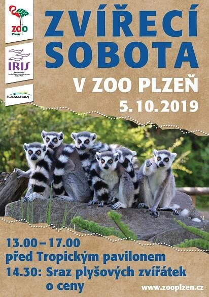 Velký sraz plyšových zvířátek ve zvířecí sobotu | Zoo Plzeň