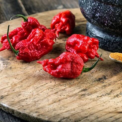 Carolina Reaper Chili