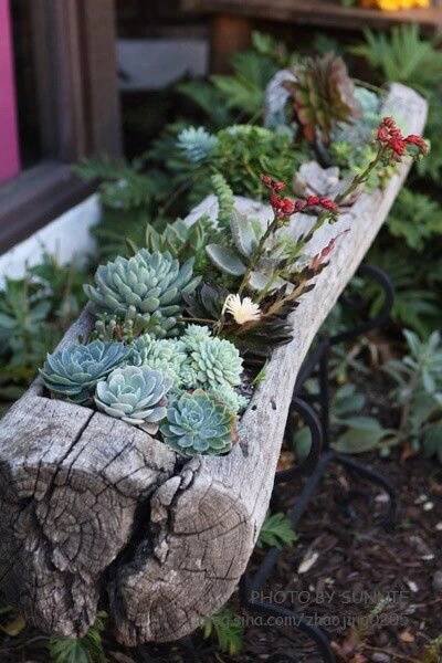 Gardening and Landscaping: Front Yard Landscaping | 정원 아이디어, 정원 가꾸기, 정원 소품