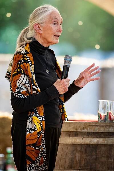 Events mit Dr. Jane Goodall in Österreich - Jane Goodall Institute Austria