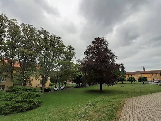 Muž při útěku z léčebny v Beřkovicích hrozil násilím. Policie po něm stále pátrá