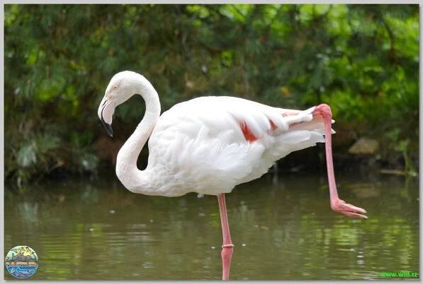 Zoopark Chomutov
