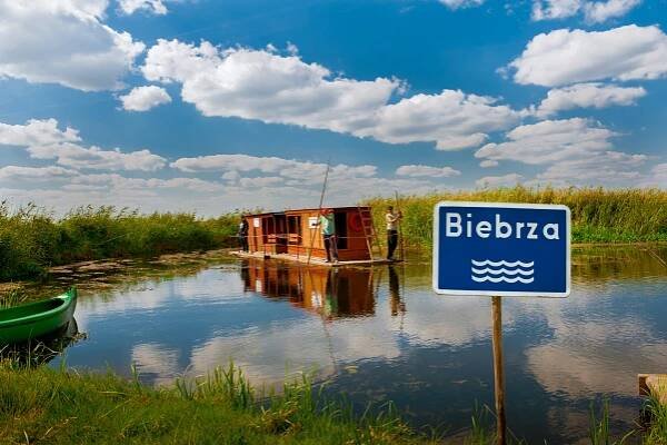 DSC_8229-biebrza