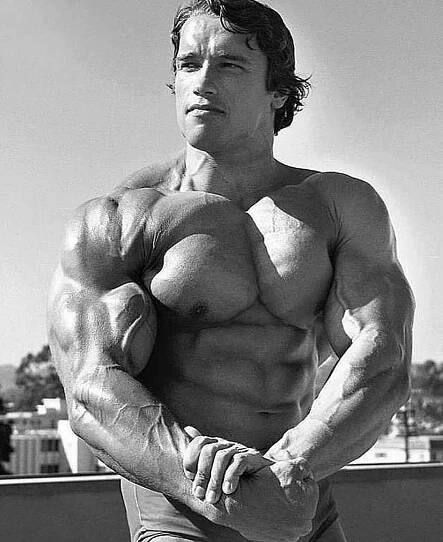 Pin by Bradley Colson on BJC815 | Arnold schwarzenegger bodybuilding, Arnold bodybuilding, Schwarzenegger bodybuilding