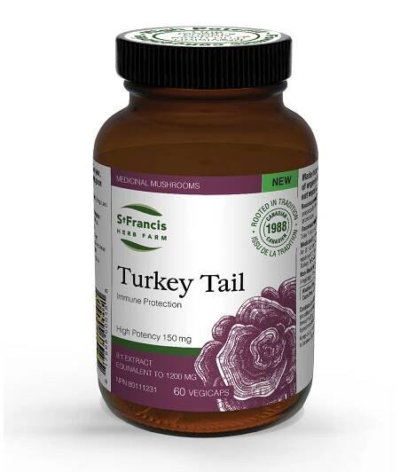 Turkey Tail for Digestive Support